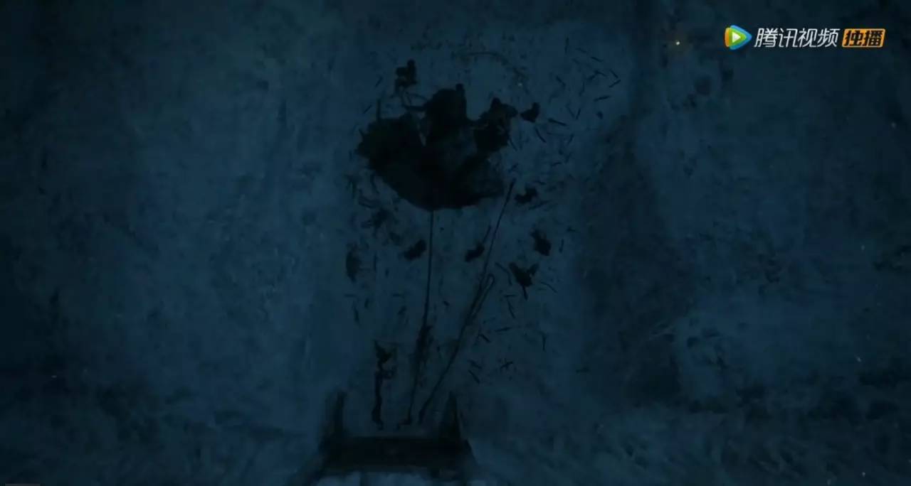 评价电影魔兽,最好看的魔兽电影有哪些