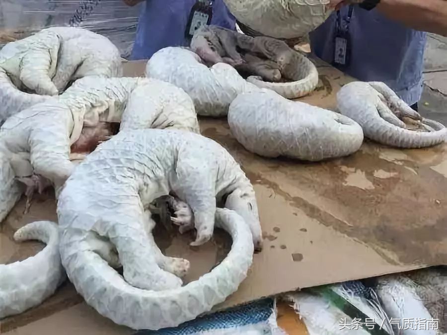 代购骗局朋友圈,朋友圈代购真实案例