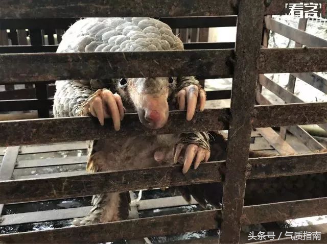 代购骗局朋友圈,朋友圈代购真实案例