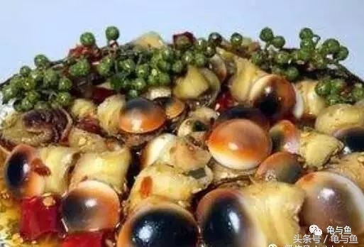 淡海除藻最好的方法,海水除藻