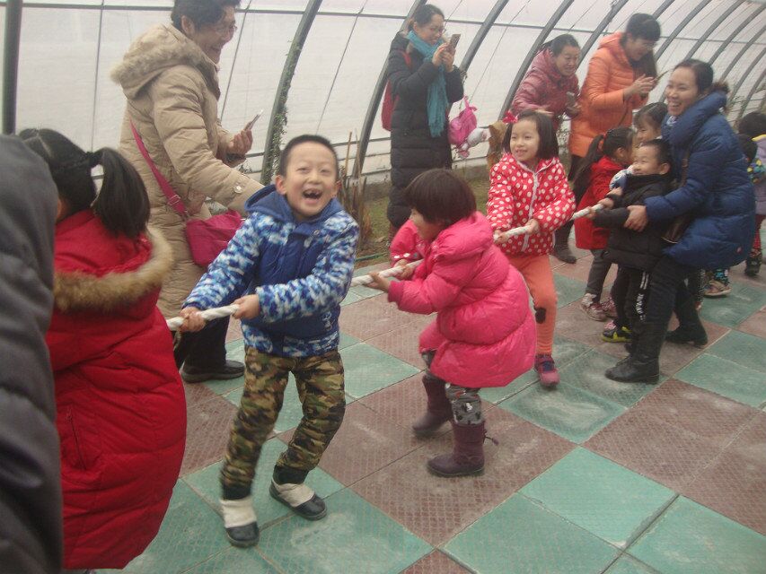 晚报亲子本周六再开蔬菜采摘喂小猪，小朋友抓紧报名啦