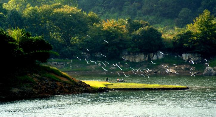 「纪检人·镜头」轻雷初惊蛰耕种满田畴