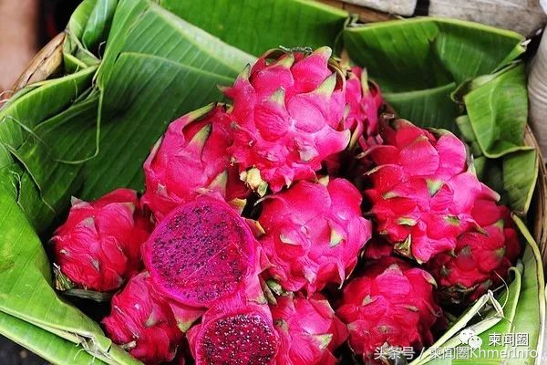 柬埔寨的特色水果有哪些,柬埔寨十大热带水果