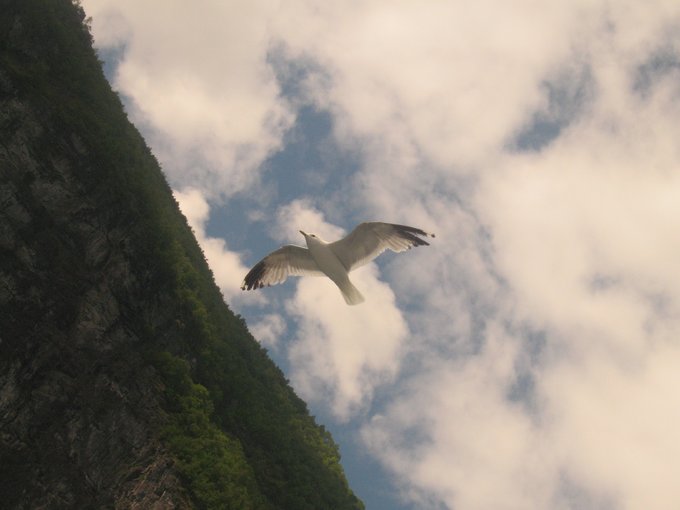 北欧四国丹、瑞、挪、芬，不是穷游的穷游（多图杀猫，字多慎入）