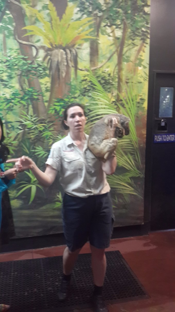 澳大利亚昆士兰州自由行攻略,澳洲三个月之旅