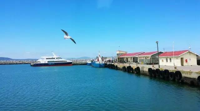 特约专栏|眼界再远，也不妨回头看看“摇篮”