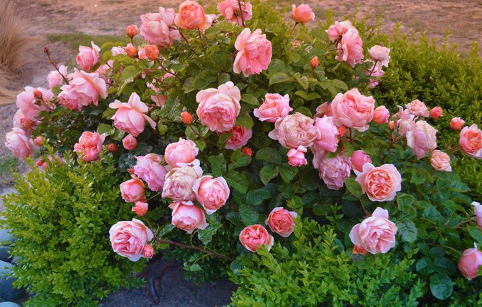 趁年轻我们一起去旅行吧,趁年轻我们一起去旅行