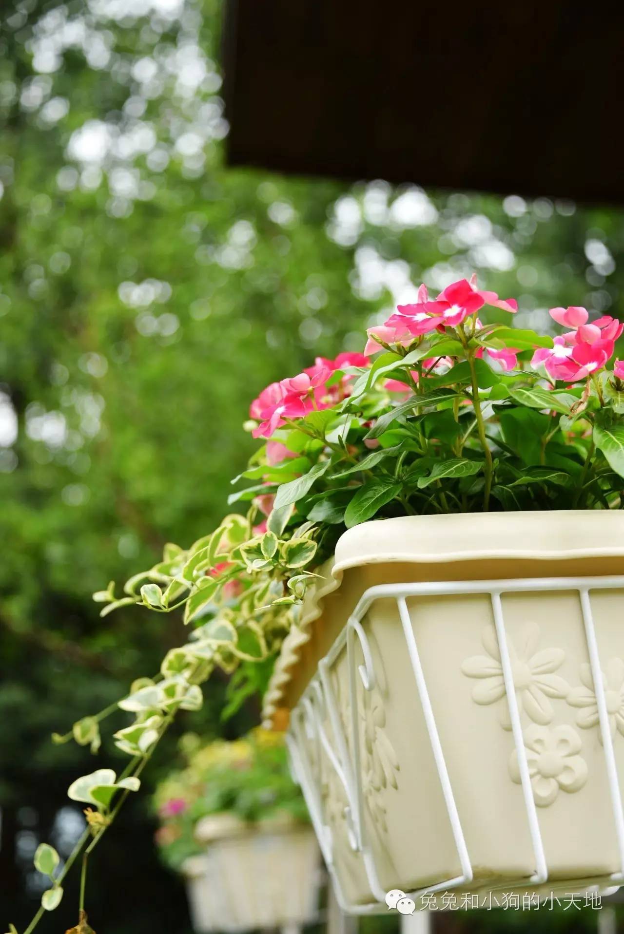 皇家御庭店,普拉提皇家御庭