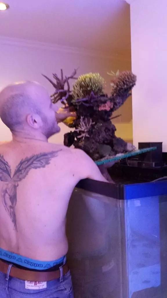 北欧古法缸,记录原生缸养鱼过程