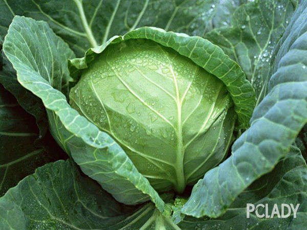 尿酸高不能吃什么蔬菜和食物,尿酸高不能吃的蔬菜的列表