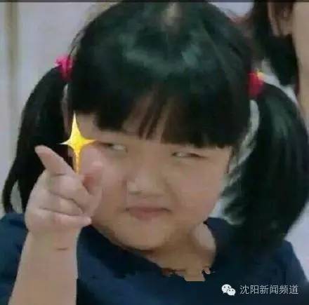 嬉水乐园辽宁,沈阳游乐园收藏榜