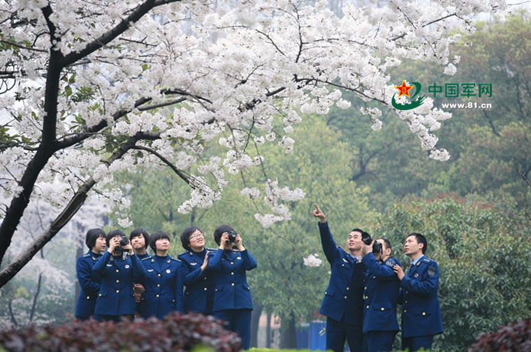 空军预警学院录取怎么查询,空军预警学院在山东招生人数