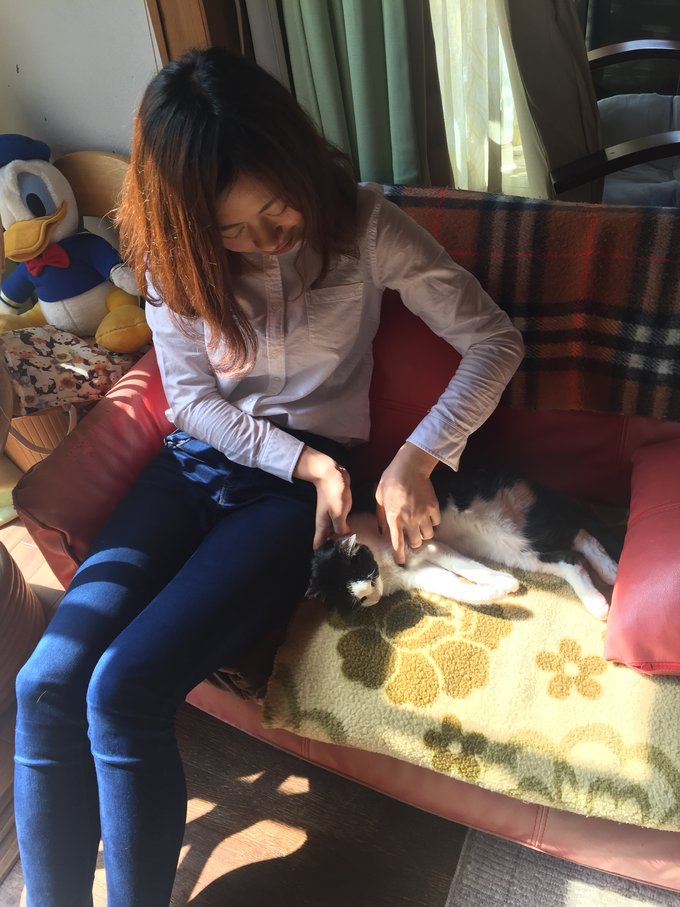 16年,关西(大阪,奈良,京都,宇治)樱花,甲子园