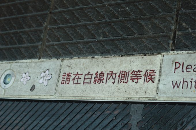 老爸追梦之旅,父亲的圆梦之旅