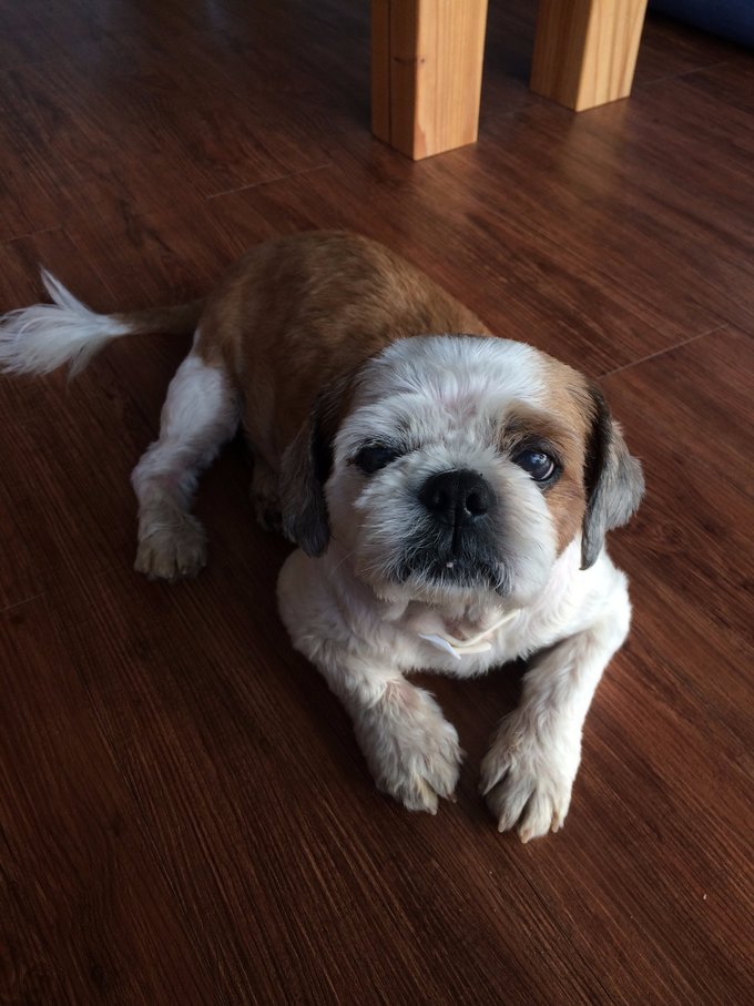 毛利酱の台湾环岛【台北-台南-垦丁-花莲-台北】