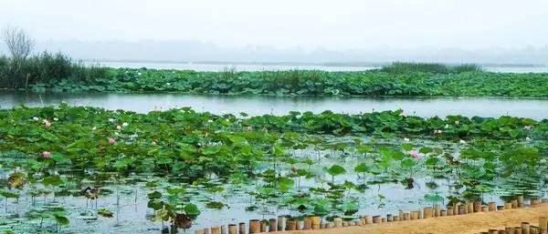 郑州附近一日游最佳玩水景点,郑州陇海路西三环玩水