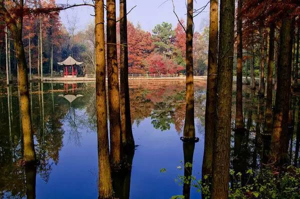 郑州附近一日游最佳玩水景点,郑州陇海路西三环玩水