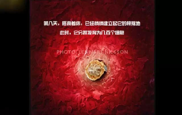 造人计划之前需要做的事,造人计划必须做的事