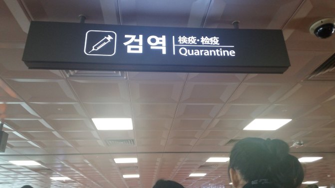 去济州岛旅游可以租车吗,济州岛租车需要什么手续