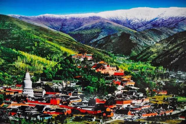 四大名山佛教道场何时开放,佛教四大道场都集中在南方