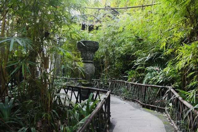 重庆喝茶打麻将的地方都有哪些,重庆喝茶的茶馆