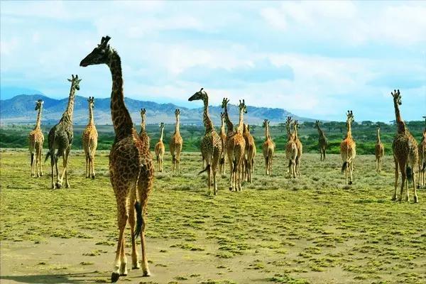 一生必去的55个地方有哪些,一生必去的51个地方图片