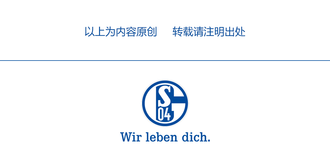 一整年的难忘瞬间沙尔克04赛季十佳球