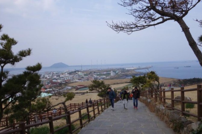 济州岛玩包车还是租车好,说走就走的韩国旅游