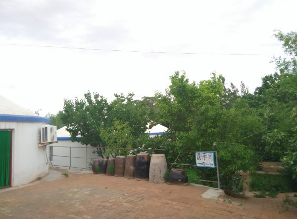 爸爸去哪儿旅游打卡,爸爸去哪儿宁夏中卫沙坡头