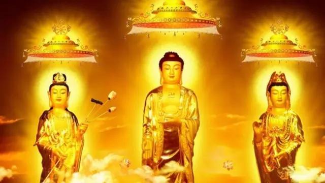 舍利为什么是佛教至宝,佛家说的舍利是什么样的