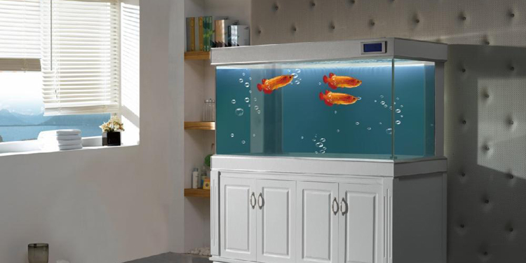 水族箱底部漏水怎么处理,水族箱边角漏水解决方法