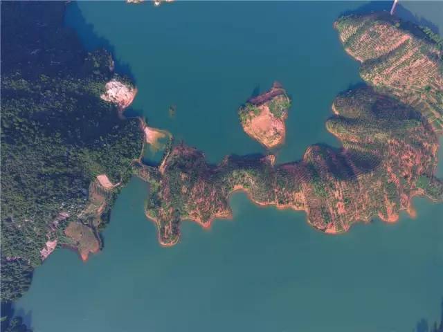 来咯！2016连州水晶梨节