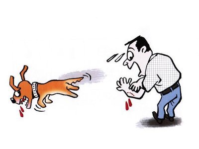 科普童话怎么编,科普童话怎样写