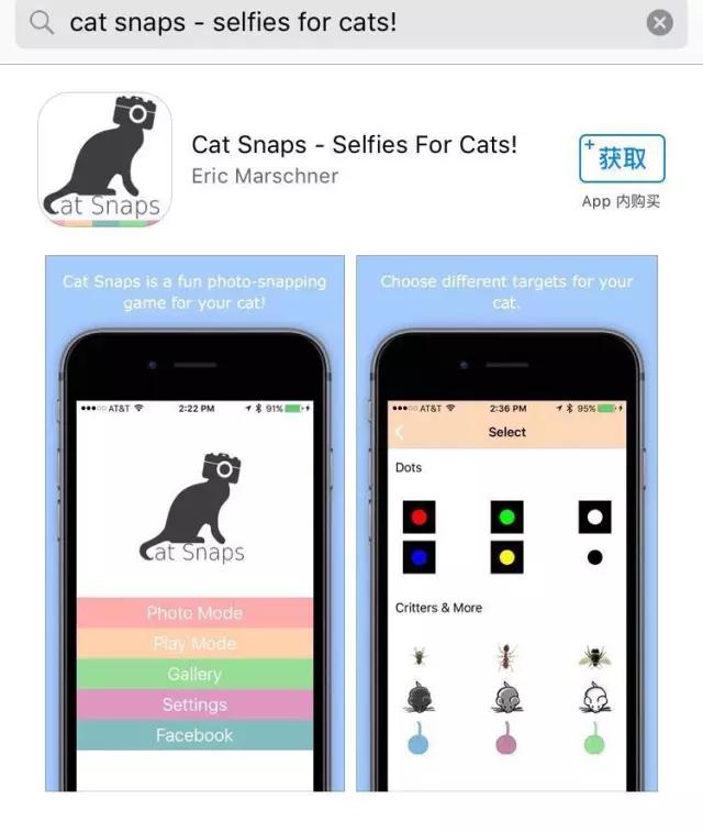 关于猫咪的9个app,喵星人铲屎官必备