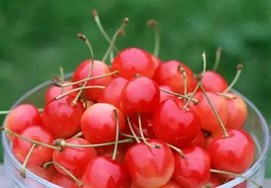 烟台常吃的水果有哪些,六月底七月初烟台的水果