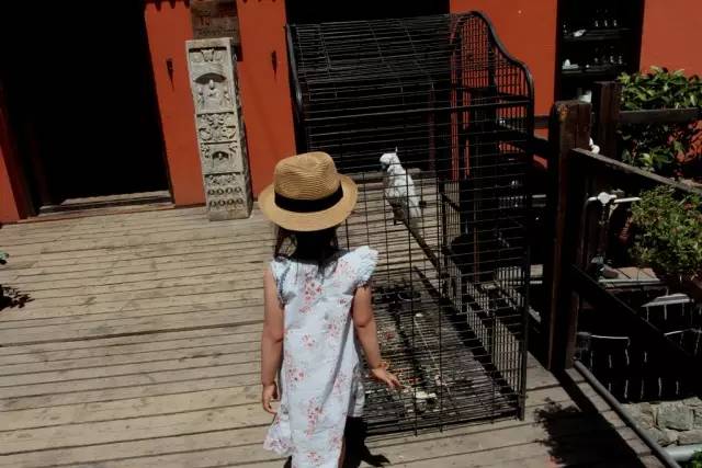 388元住酒店,350元在泰国住宿