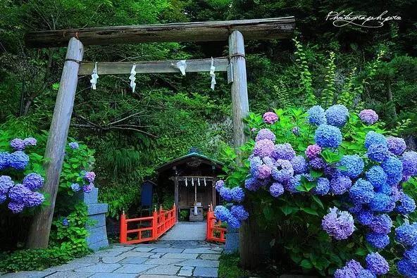 现在的日本是什么样的,现在的日本广岛什么样子