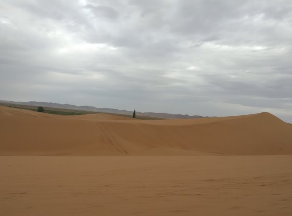 爸爸去哪儿旅游打卡,爸爸去哪儿宁夏中卫沙坡头