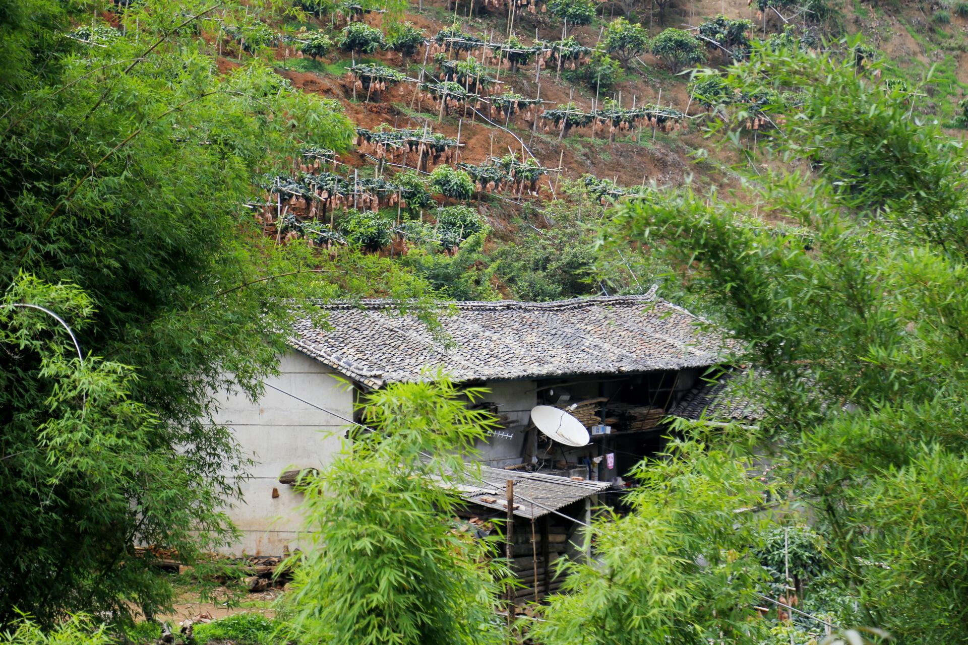 攀枝花最好吃的料理,攀枝花料理