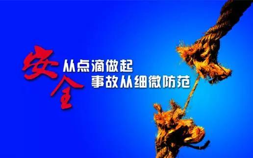 重庆崽儿所有视频,重庆崽儿原版视频