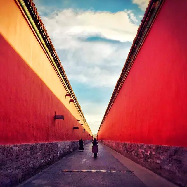 点赞他们的高光时刻,大家用手机拍出过什么好看的照片