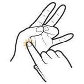 美式碳烤教程,正宗日式碳烤