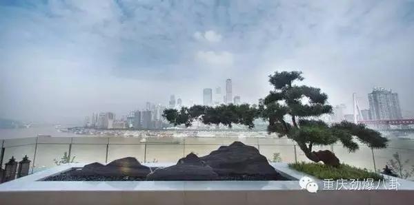 东原房企负债率,东原全国房企排名