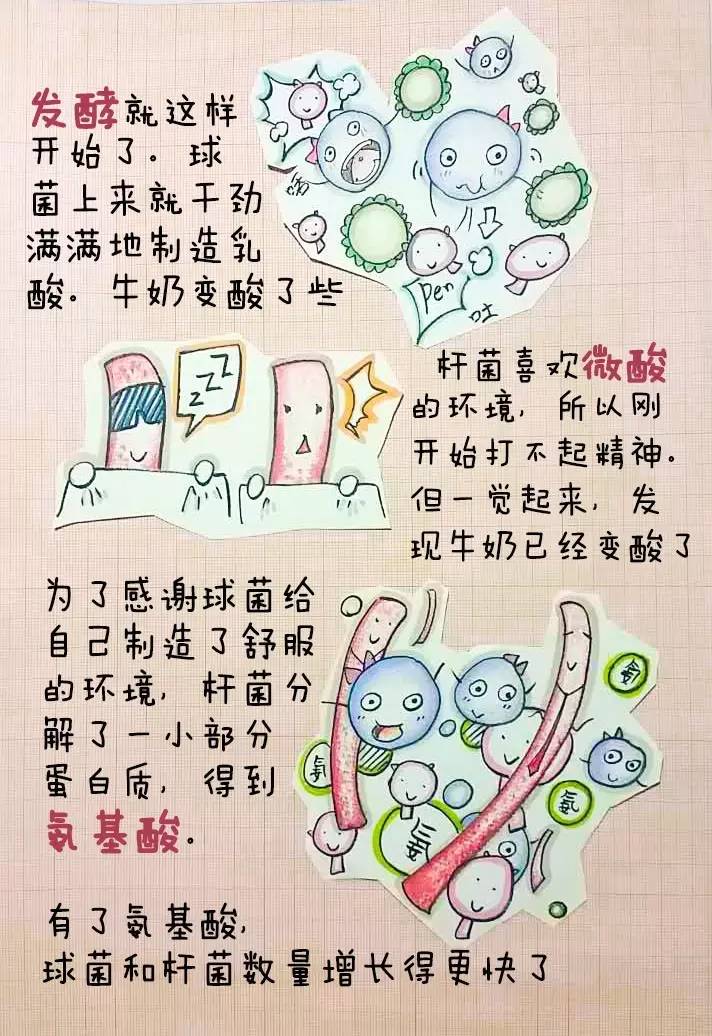 营养师教你自制益生菌,美国注册营养师都学什么