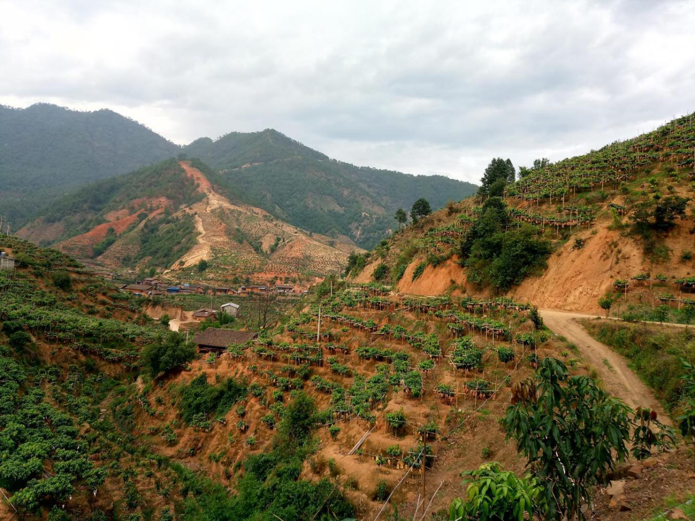 攀枝花料理,攀枝花最好吃的料理