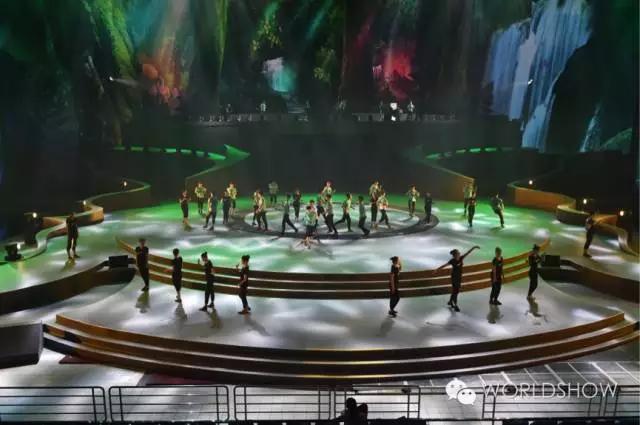 最惊艳的鸟巢,鸟巢吸引鸟的视频