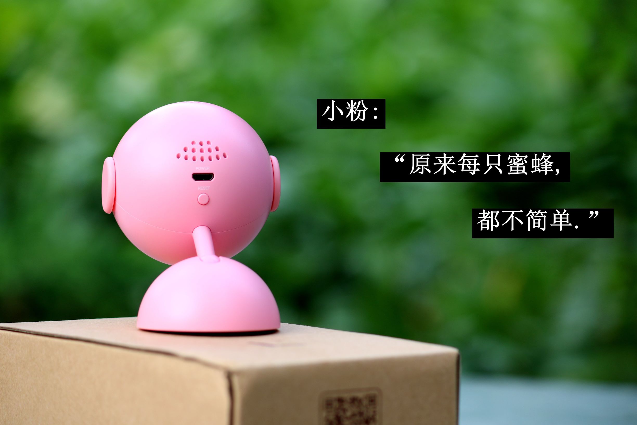 鹏博士摄像头app,鹏博士摄像头