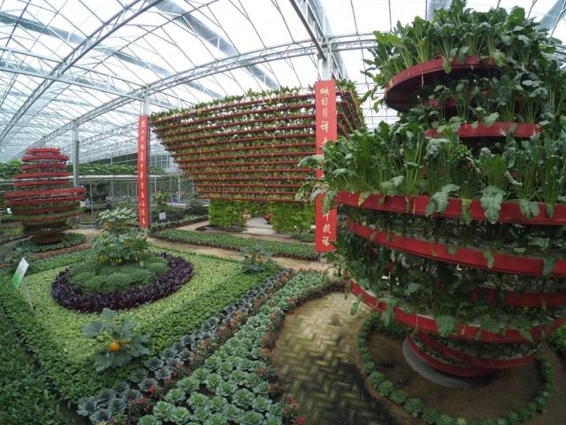 带上小蚁运动相机游潍坊（三）寿光菜博会