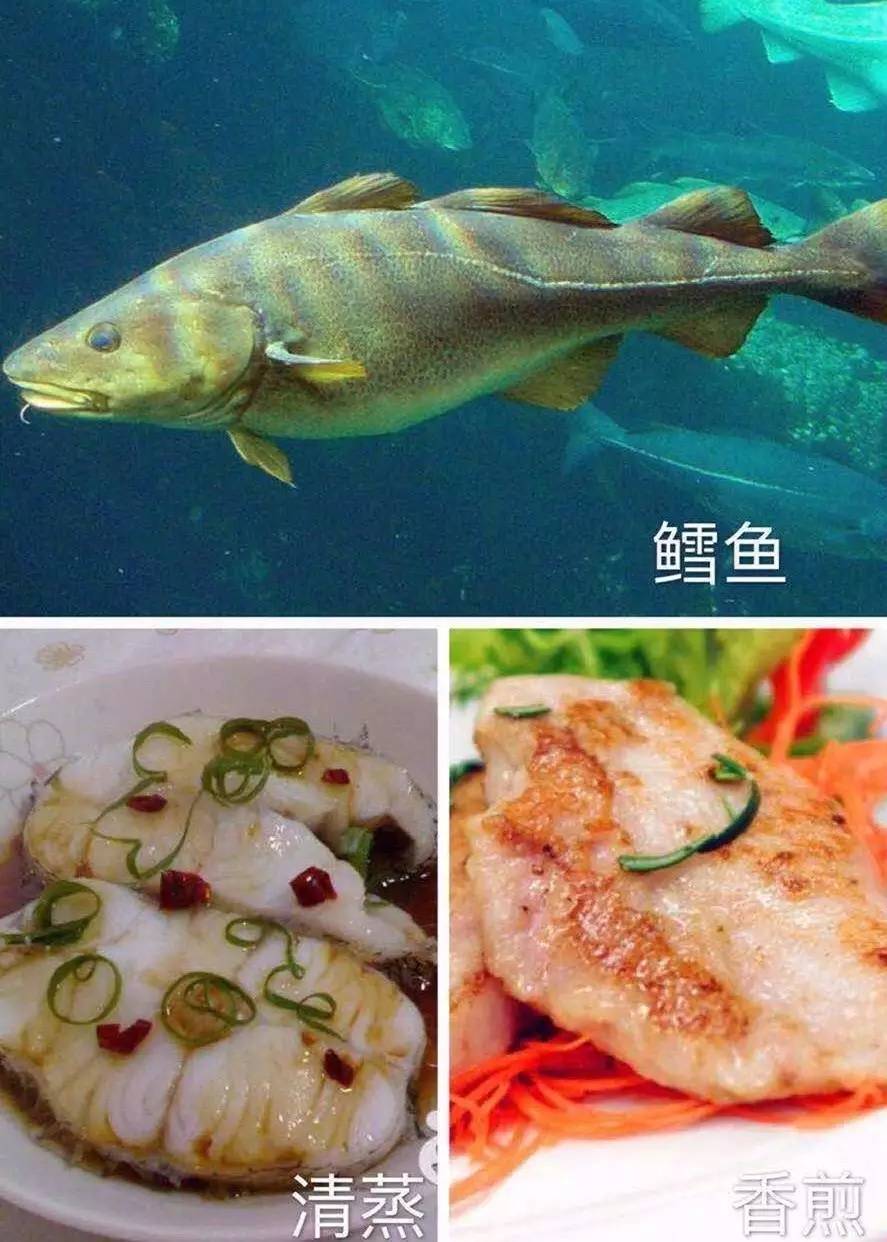 临沂百家美食微商，一人一份大礼送给你！（第一波）