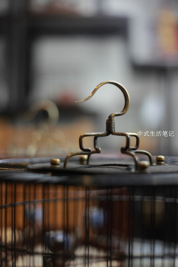 提笼架鸟说明什么,提笼架鸟视频